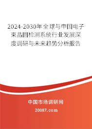 2024-2030年全球与中国电子束晶圆检测系统行业发展深度调研与未来趋势分析报告