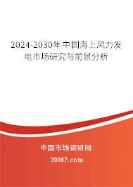 2024-2030年中国海上风力发电市场研究与前景分析