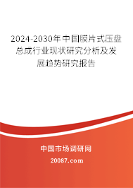 2024-2030年中国膜片式压盘总成行业现状研究分析及发展趋势研究报告