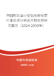 中国耐高温小型铝电解电容行业现状分析及市场前景研究报告（2024-2030年）