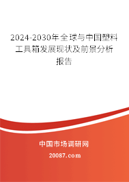 2024-2030年全球与中国塑料工具箱发展现状及前景分析报告