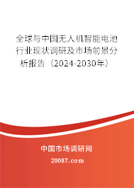 全球与中国无人机智能电池行业现状调研及市场前景分析报告（2024-2030年）