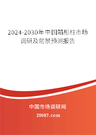 2024-2030年中国箱形柱市场调研及前景预测报告