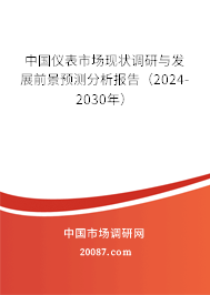 中国仪表市场现状调研与发展前景预测分析报告（2024-2030年）