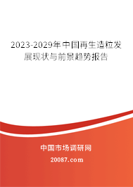 2023-2029年中国再生造粒发展现状与前景趋势报告