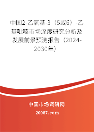 中国2-乙氧基-3（5或6）-乙基吡嗪市场深度研究分析及发展前景预测报告（2024-2030年）