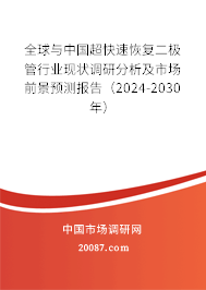 全球与中国超快速恢复二极管行业现状调研分析及市场前景预测报告（2024-2030年）