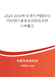 2024-2030年全球与中国电切内窥镜行业发展调研及前景分析报告