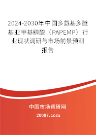 2024-2030年中国多氨基多醚基亚甲基膦酸（PAPEMP）行业现状调研与市场前景预测报告