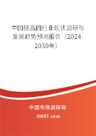 中国硅晶圆行业现状调研与发展趋势预测报告（2024-2030年）