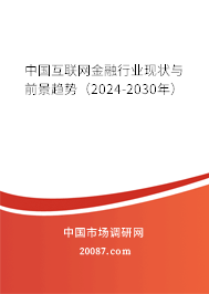 中国互联网金融行业现状与前景趋势（2024-2030年）