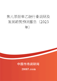 焦儿茶酚单乙醚行业调研及发展趋势预测报告（2023年）