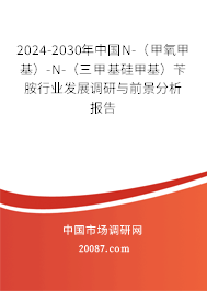 2024-2030年中国N-（甲氧甲基）-N-（三甲基硅甲基）苄胺行业发展调研与前景分析报告