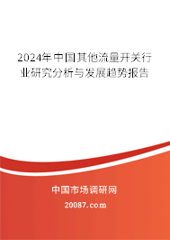 2024年中国其他流量开关行业研究分析与发展趋势报告