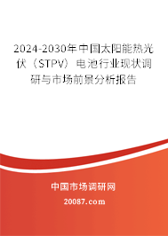 2024-2030年中国太阳能热光伏（STPV）电池行业现状调研与市场前景分析报告