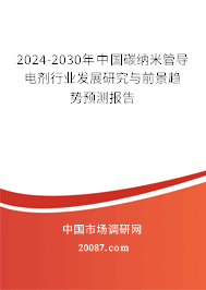 2024-2030年中国碳纳米管导电剂行业发展研究与前景趋势预测报告