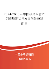 2024-2030年中国碳纳米管阵列市场现状与发展前景预测报告