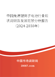 中国先进锂离子电池行业现状调研及发展前景分析报告（2024-2030年）