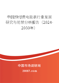 中国预付费电能表行业发展研究与前景分析报告（2024-2030年）