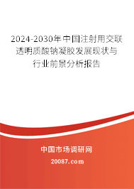 2024-2030年中国注射用交联透明质酸钠凝胶发展现状与行业前景分析报告