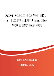 2024-2030年全球与中国2，3-丁二醇行业现状全面调研与发展趋势预测报告