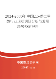 2024-2030年中国2,6-萘二甲酸行业现状调研分析与发展趋势预测报告