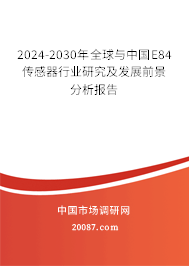 2024-2030年全球与中国E84传感器行业研究及发展前景分析报告