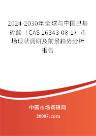 2024-2030年全球与中国己基硼酸（CAS 16343-08-1）市场现状调研及前景趋势分析报告