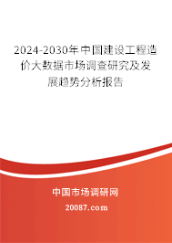 2024-2030年中国建设工程造价大数据市场调查研究及发展趋势分析报告