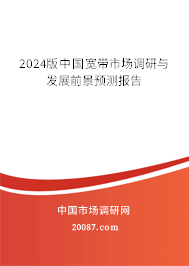 2024版中国宽带市场调研与发展前景预测报告