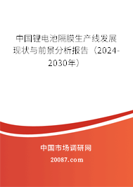 中国锂电池隔膜生产线发展现状与前景分析报告（2024-2030年）