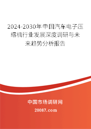 2024-2030年中国汽车电子压缩机行业发展深度调研与未来趋势分析报告