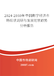 2024-2030年中国数字经济市场现状调研与发展前景趋势分析报告