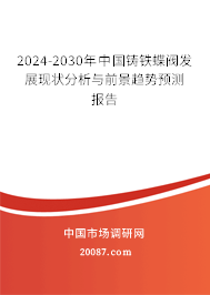 2024-2030年中国铸铁蝶阀发展现状分析与前景趋势预测报告