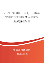 2024-2030年中国1,3-二苯基金刚烷行业调研及未来发展趋势预测报告