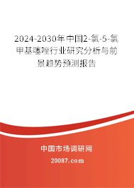 2024-2030年中国2-氯-5-氯甲基噻唑行业研究分析与前景趋势预测报告