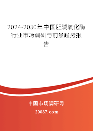 2024-2030年中国胆碱氧化酶行业市场调研与前景趋势报告