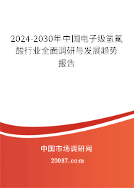 2024-2030年中国电子级氢氟酸行业全面调研与发展趋势报告