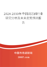 2024-2030年中国调压阀行业研究分析及未来走势预测报告