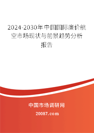 2024-2030年中国国际廉价航空市场现状与前景趋势分析报告