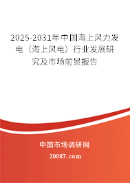 2025-2031年中国海上风力发电(海上风电)行业发展研究及市场前景报告 2025-2031年中国海上风力发电(海上风电)行业发展研究及市场前景报告