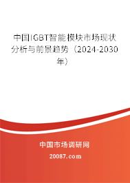 中国IGBT智能模块市场现状分析与前景趋势（2024-2030年）