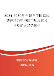 2024-2030年全球与中国磷酸铁锂动力电池组市场现状分析及前景趋势报告