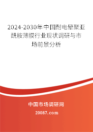 2024-2030年中国耐电晕聚亚酰胺薄膜行业现状调研与市场前景分析