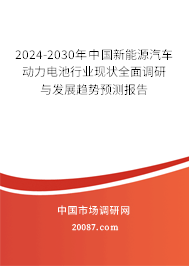 2024-2030年中国新能源汽车动力电池行业现状全面调研与发展趋势预测报告