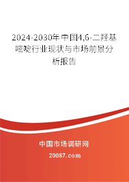 2024-2030年中国4,6-二羟基嘧啶行业现状与市场前景分析报告