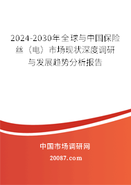 2024-2030年全球与中国保险丝（电）市场现状深度调研与发展趋势分析报告