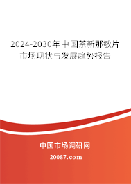 2024-2030年中国茶新那敏片市场现状与发展趋势报告