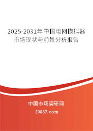 2025-2031年中国电网模拟器市场现状与前景分析报告 2025-2031年中国电网模拟器市场现状与前景分析报告
