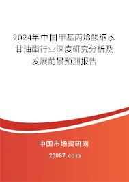 2024年中国甲基丙烯酸缩水甘油酯行业深度研究分析及发展前景预测报告